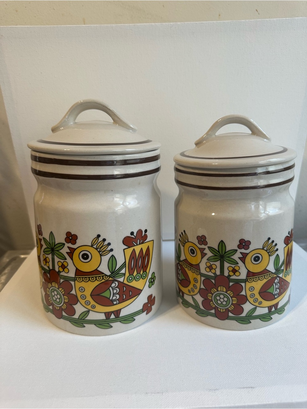 Set of 2 Vintage Retro Ceramic Bird Canister Set